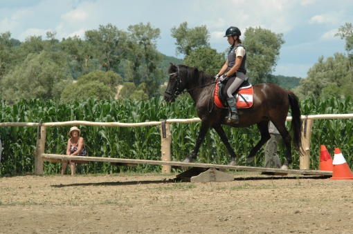 DSC_0194 (2)